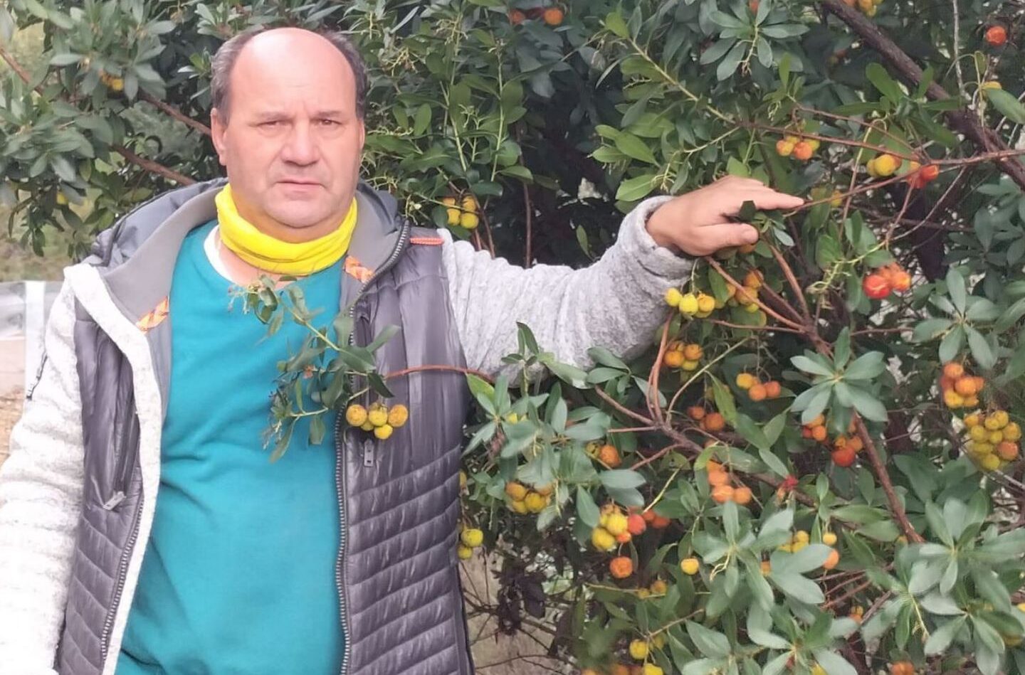 Descubre Los Secretos De La Corteza De Citrus Medica