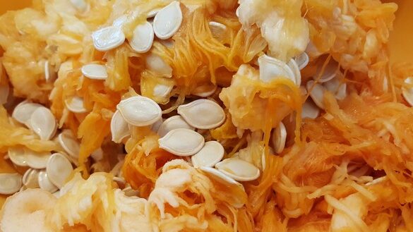 Descubre Por Que Las Pipas De Calabaza Son El Tentempie Perfecto Para Amantes Del Crunchy