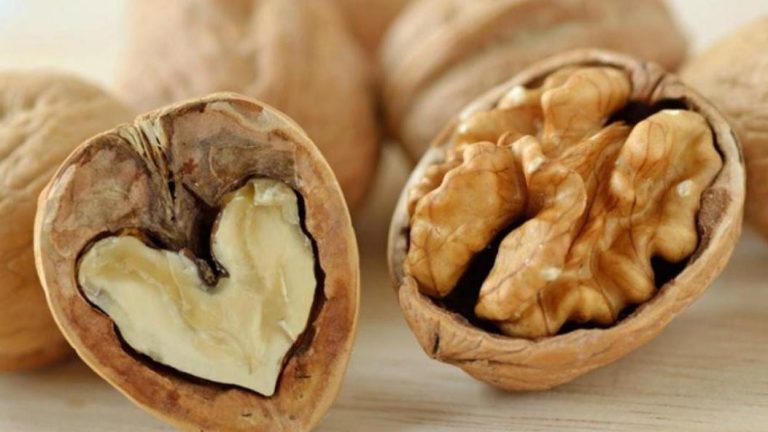 Que Beneficios Aportan Las Nueces De Pecan A Tu Salud Y Como Incorporarlas A Tu Dieta Diaria